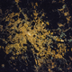Image for article titled Can you recognize the world’s most famous cities from space?
